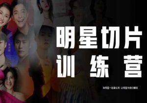 王子·明星切片线上训练营（2023），和明星一起拿红利，让明星为我们赚钱-淘金日记