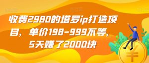 收费2980的塔罗ip打造项目，单价198-999不等，5天赚了2000块【揭秘】-淘金日记