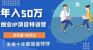 创业IP年入50W核心方法，未来10年最值得做的项目【揭秘】-淘金日记