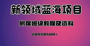 虚拟资源蓝海领域新项目，轻松日入800＋，附保姆级教程及资料-淘金日记
