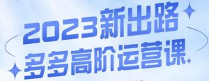 大炮·多多高阶运营课，3大玩法助力打造爆款，实操玩法直接亮出干货-淘金日记