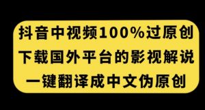 抖音中视频百分百过原创,下载国外平台的电影解说,一键翻译成中文获取收益-淘金日记