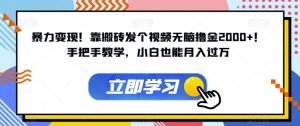 暴力变现!靠搬砖发个视频无脑撸金2000+!手把手教学,小白也能月入过万【揭秘】-淘金日记