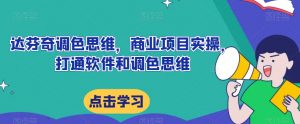 达芬奇调色思维，商业项目实操，打通软件和调色思维-淘金日记