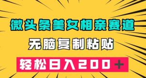 微头条冷门美女相亲赛道，无脑复制粘贴，轻松日入200＋【揭秘】-淘金日记