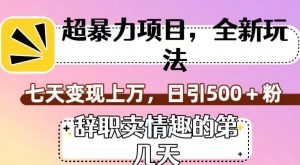 超暴利项目,全新玩法(辞职卖情趣的第几天),七天变现上万,日引500+粉【揭秘】-淘金日记