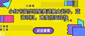 小红书娱乐明星赛道暴力起号，蓝海项目，难度低变现快【揭秘】-淘金日记