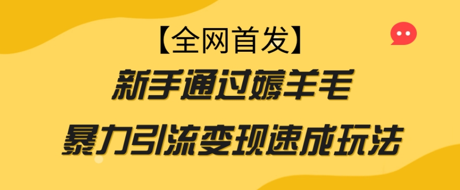【全网首发】新手通过薅羊毛暴力引流变现速成玩法-淘金日记