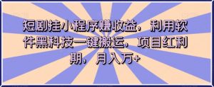 短剧挂小程序赚收益,利用软件黑科技一键搬运,项目红利期,月入万+【揭秘】-淘金日记