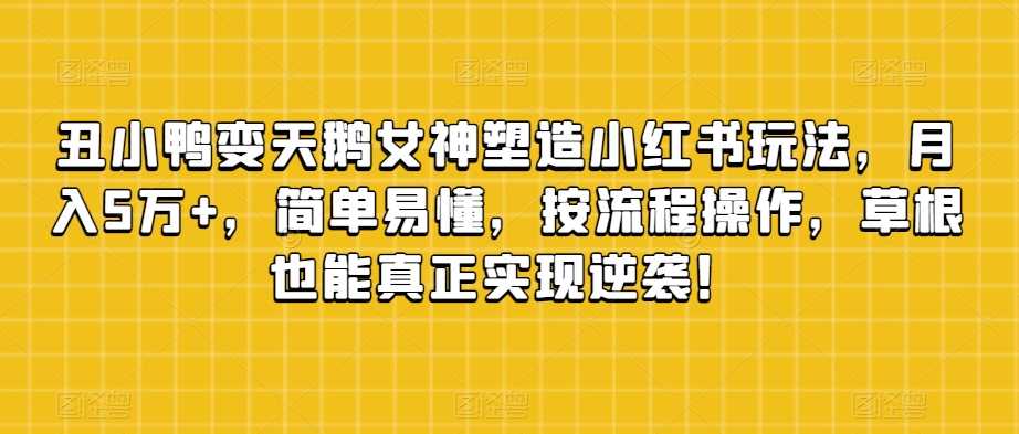 丑小鸭变天鹅女神塑造小红书玩法，月入5万+，简单易懂，按流程操作，草根也能真正实现逆袭！-淘金日记