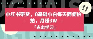 小红书带货，0基础小白每天随便拍拍，月赚3W【揭秘】-淘金日记