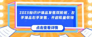 2023知识IP爆品发售双阶班,左手爆品右手发售,开启批量收钱-淘金日记