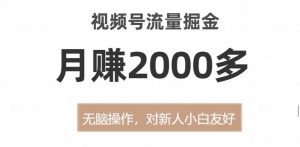 视频号流量掘金,无脑操作,对新人小白友好,月赚2000多【揭秘】-淘金日记