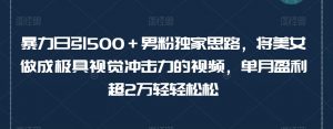 暴力日引500+男粉独家思路,将美女做成极具视觉冲击力的视频,单月盈利超2万轻轻松松-淘金日记