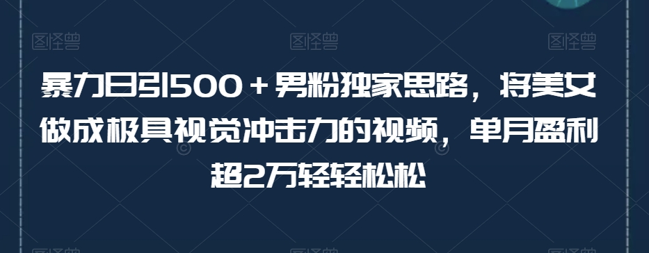 暴力日引500+男粉独家思路,将美女做成极具视觉冲击力的视频,单月盈利超2万轻轻松松-淘金日记