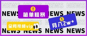 简单粗暴零成本，高回报，全网视频VIP掘金项目，月入2万＋【揭秘】-淘金日记