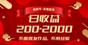 视频号直播蓝海，不需要发作品，不用经验，日入200-2000+【揭秘】-淘金日记