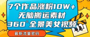7个作品涨粉10W+，无脑搬运素材，全景美女视频爆款玩法分享【揭秘】-淘金日记