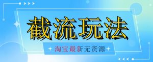 首发价值2980最新淘宝无货源不开车自然流超低成本截流玩法日入300+【揭秘】【1016更新】-淘金日记