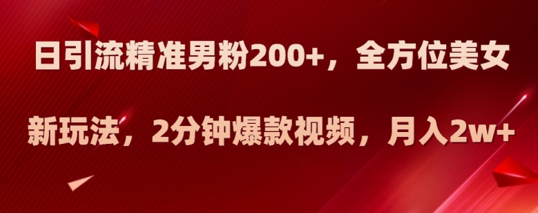 日引流精准男粉200+,全方位美女新玩法,2分钟爆款视频,月入2w+【揭秘】-淘金日记