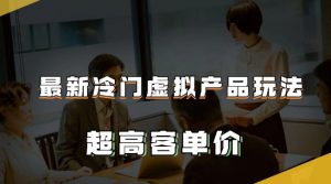 最新冷门虚拟产品玩法,超高客单价,月入2-3万+【揭秘】-淘金日记