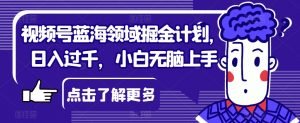 视频号蓝海领域掘金计划，日入过千，小白无脑上手【揭秘】-淘金日记