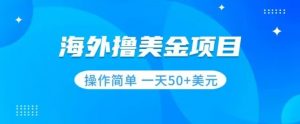 撸美金项目无门槛操作简单小白一天50+美刀-淘金日记