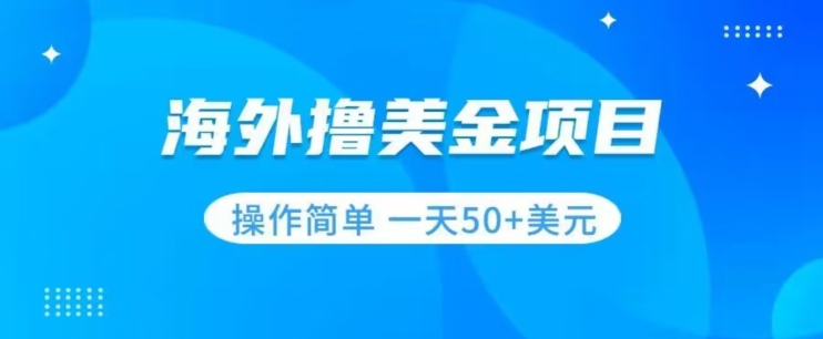 撸美金项目无门槛操作简单小白一天50+美刀-淘金日记