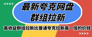 最新夸克网盘群组拉新,高收益群组拉新比普通夸克拉新高一倍的价钱-淘金日记