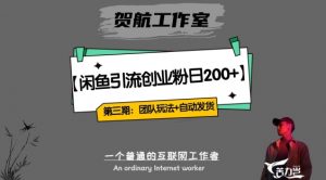 第三期：暴力引流，无脑搬运，闲鱼创业粉引流一天200+，更新全自动发货的团队闭环模式【揭秘】-淘金日记