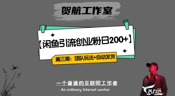 第三期:暴力引流,无脑搬运,闲鱼创业粉引流一天200+,更新全自动发货的团队闭环模式【揭秘】-淘金日记