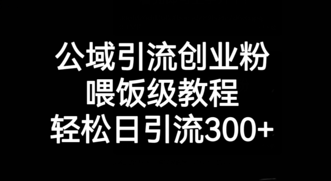 公域引流创业粉,喂饭级教程,轻松日引流300+【揭秘】-淘金日记