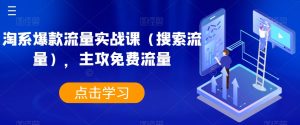 淘系爆款流量实战课(搜索流量),主攻免费流量-淘金日记
