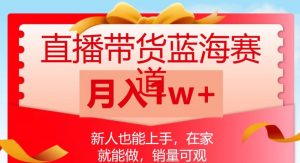 直播带货蓝海赛道，新人也能上手，在家就能做，销量可观，月入1w【揭秘】-淘金日记
