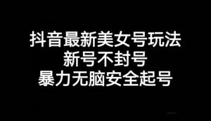 抖音最新美女号玩法,新号不封号,暴力无脑安全起号【揭秘】-淘金日记