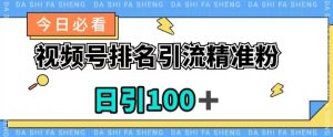 视频号引流精准粉,日引100+,流量爆炸【揭秘】-淘金日记