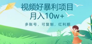 视频号暴利项目，多账号，可复制，红利期，月入10w+【揭秘】-淘金日记
