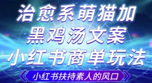 治愈系萌猫加+黑鸡汤文案，小红书商单玩法，3~10天涨到1000粉，一单200左右-淘金日记