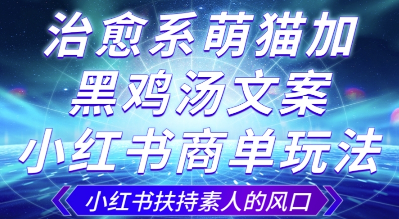 治愈系萌猫加+黑鸡汤文案，小红书商单玩法，3~10天涨到1000粉，一单200左右-淘金日记