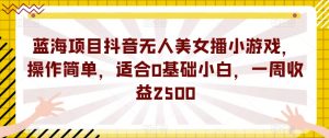 蓝海项目抖音无人美女播小游戏，操作简单，适合0基础小白，一周收益2500【揭秘】-淘金日记