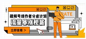 一条视频收益3000+,一条作品涨粉2000+,视频号流量爆炸·的秘籍-淘金日记