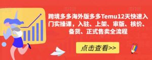 跨境多多海外版多多Temu12天快速入门实操课,入驻、上架、审版、核价、备货、正式售卖全流程-淘金日记