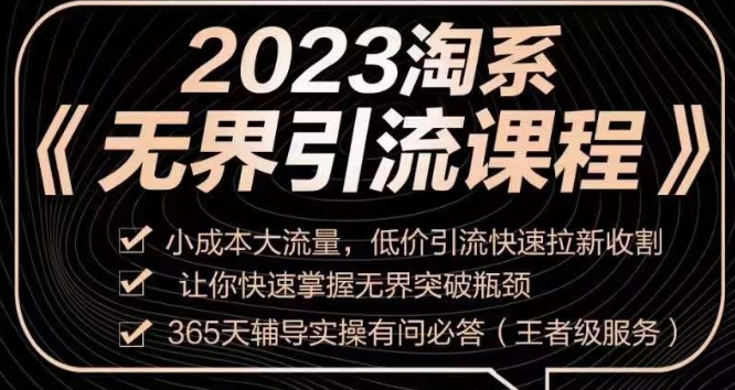 2023淘系无界引流实操课程，​小成本大流量，低价引流快速拉新收割，让你快速掌握无界突破瓶颈-淘金日记