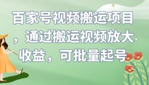 百家号视频搬运项目，通过搬运视频放大收益，可批量起号【揭秘】-淘金日记