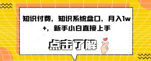 知识付费,知识系统盘口,月入1w+,新手小白直接上手-淘金日记