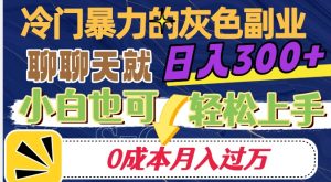 冷门暴利的副业项目，聊聊天就能日入300+，0成本月入过万【揭秘】-淘金日记