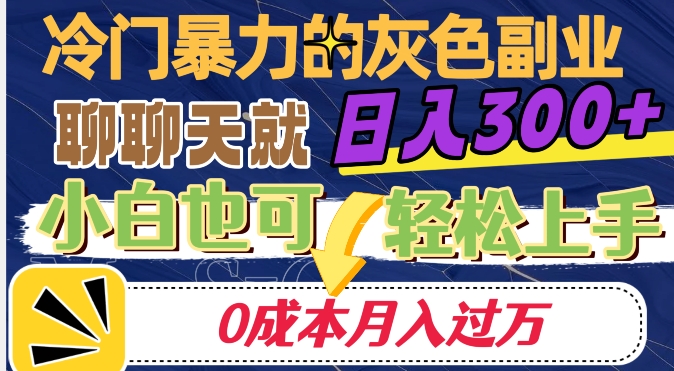 冷门暴利的副业项目，聊聊天就能日入300+，0成本月入过万【揭秘】-淘金日记