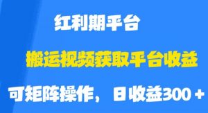 搬运视频获取平台收益，平台红利期，附保姆级教程【揭秘】-淘金日记