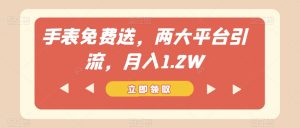 手表免费送，两大平台引流，月入1.2W【揭秘】-淘金日记