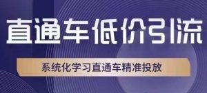 直通车低价引流课，系统化学习直通车精准投放-淘金日记
